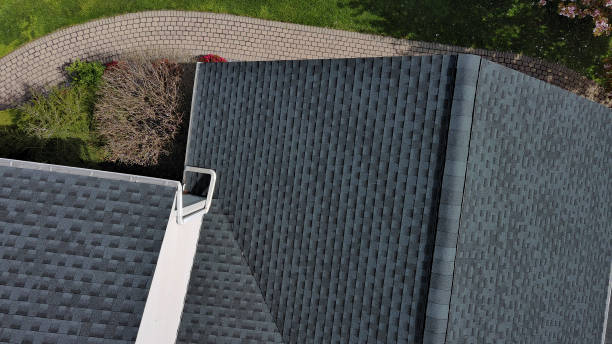 Best Roof Moss and Algae Removal  in Pulaski, NY