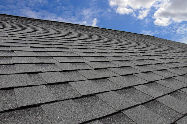 Professional Roofing in Pulaski, NY